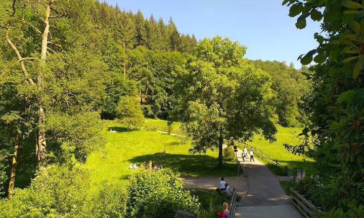 Waldgaststätte Buetthof